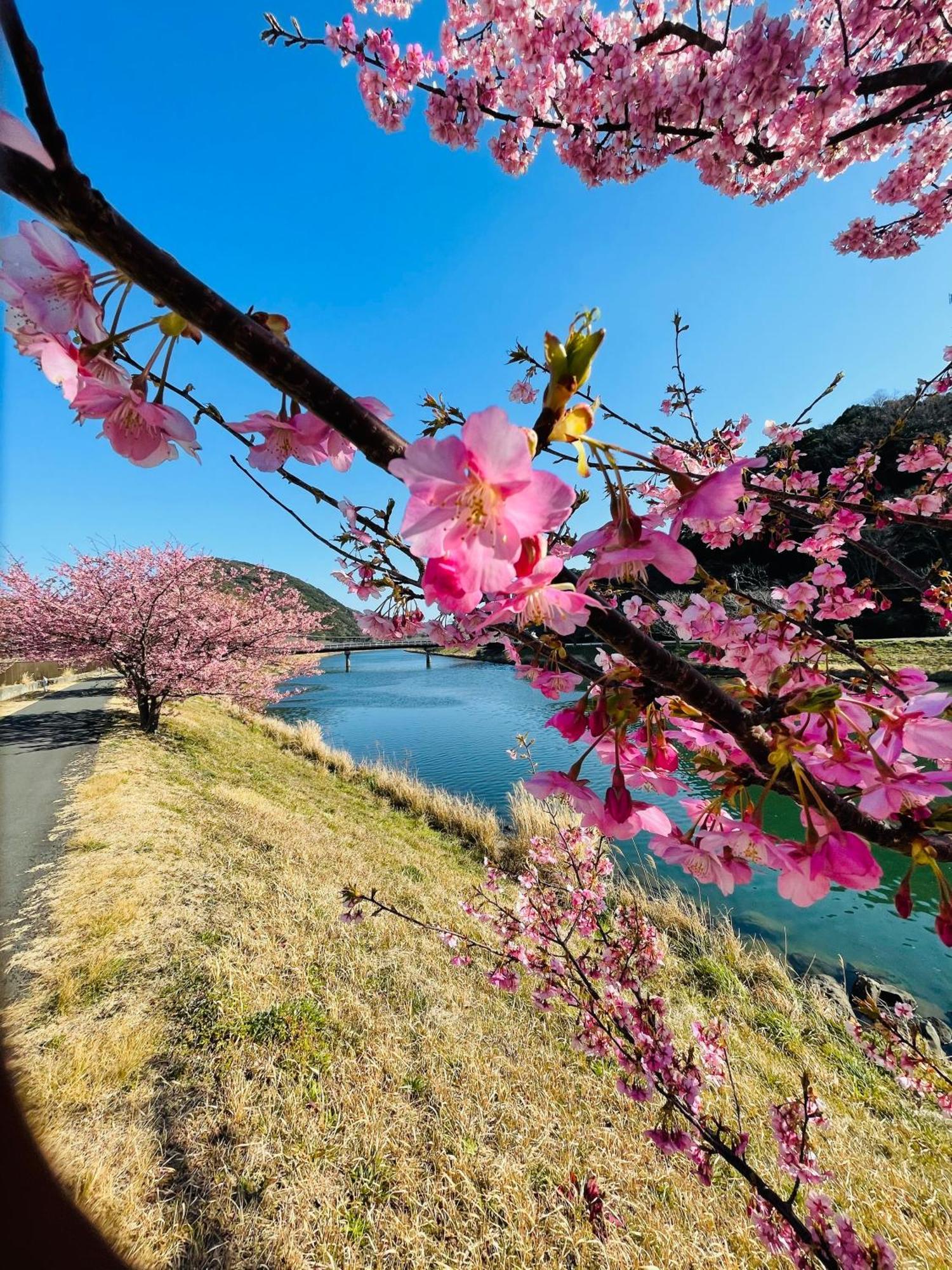 Patagonia Home Shimoda  Exterior foto